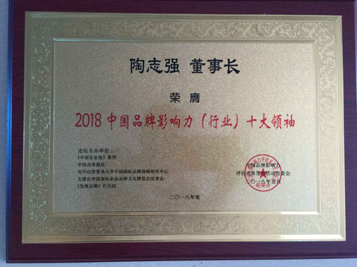 行业十大品牌证书