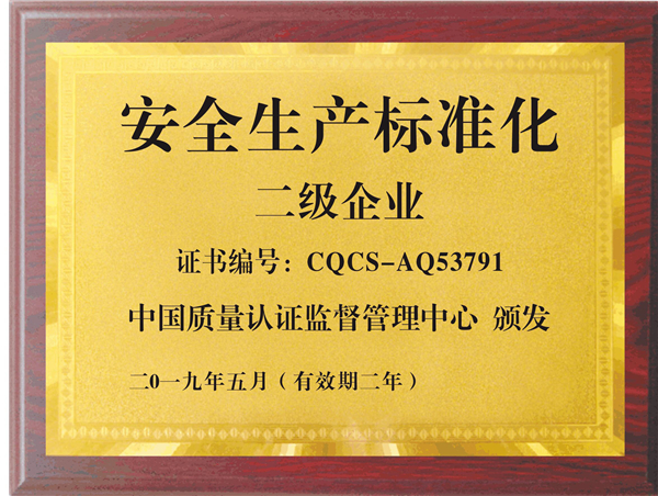 广东美桥安全生产二级证书