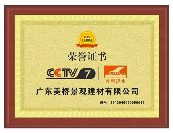 广东美桥央视展播证书