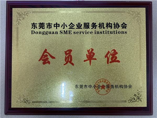 广东美桥东莞市中小企业证书